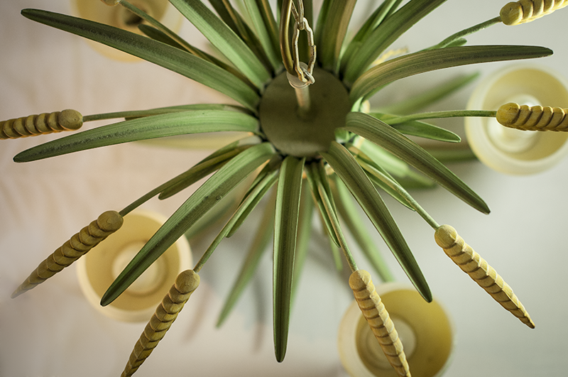 Cliquez ici pour voir plus grande version de cette photo Cliquez ici pour voir plus grande version de cette photo