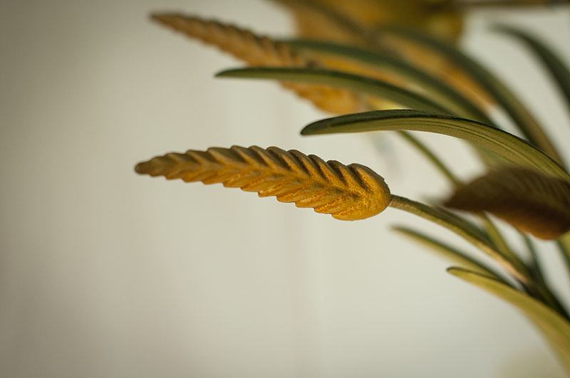 Cliquez ici pour voir plus grande version de cette photo Cliquez ici pour voir plus grande version de cette photo